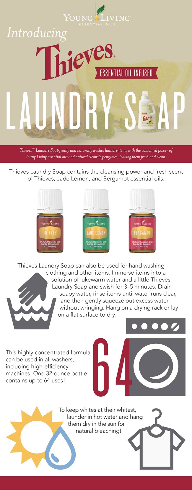 Thieves Laundry Soap infographic