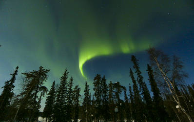 Northern Lights Farm-British Colombia